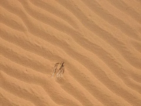 Orange color sand texture pattern background. Wadi Rum desert, Jordan,Arabia Stock Photos
