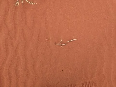 Orange color sand texture pattern background. Wadi Rum desert, Jordan,Arabia 스톡 사진