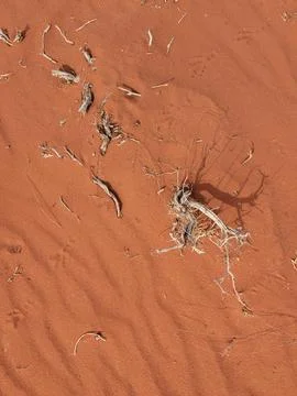 Orange color sand texture pattern background. Wadi Rum desert, Jordan,Arabia Stock Photos