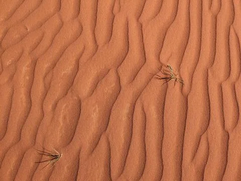 Orange color sand texture pattern background. Wadi Rum desert, Jordan,Arabia Stock Photos