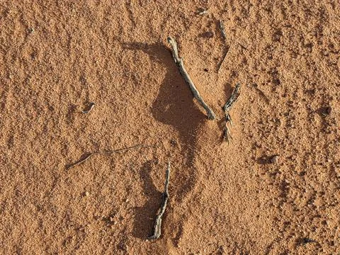 Orange color sand texture pattern background. Wadi Rum desert, Jordan,Arabia Stock Photos