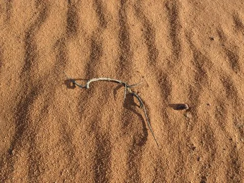Orange color sand texture pattern background. Wadi Rum desert, Jordan,Arabia Stock Photos