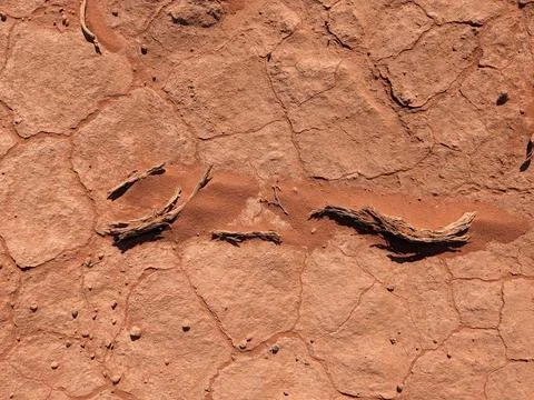 Orange color sand texture pattern background. Wadi Rum desert, Jordan,Arabia Stock Photos