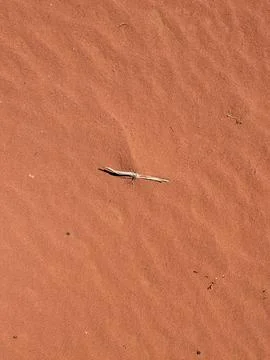 Orange color sand texture pattern background. Wadi Rum desert, Jordan,Arabia Stock Photos