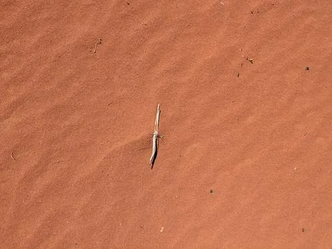 Orange color sand texture pattern background. Wadi Rum desert, Jordan,Arabia Stock Photos