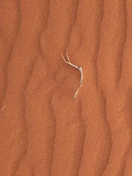 Orange color sand texture pattern background. Wadi Rum desert, Jordan,Arabia Stock Photos