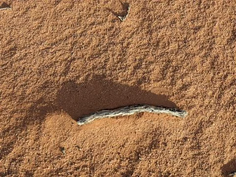 Orange color sand texture pattern background. Wadi Rum desert, Jordan,Arabia Stock Photos