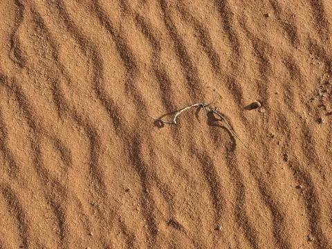 Orange color sand texture pattern background. Wadi Rum desert, Jordan,Arabia Stock Photos