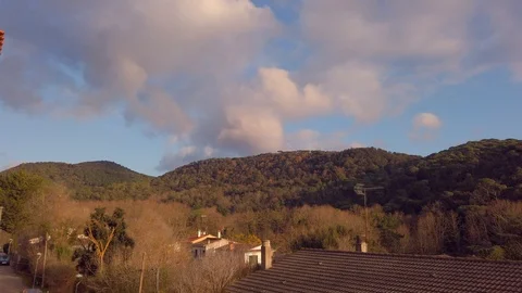 Orange colored pine trees during sunset at the mountain Stock Footage 122043865
