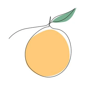 Orange. Continuous one line drawing. Stock Illustration