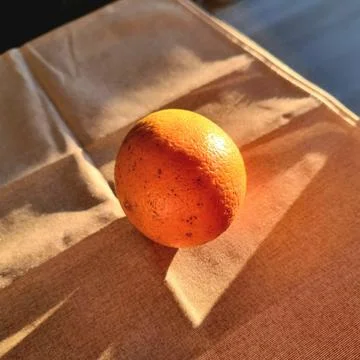An orange on the counter Stock Photos