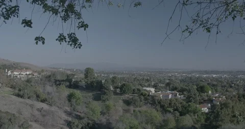 Orange County Afternoon with Tree Stock Footage
