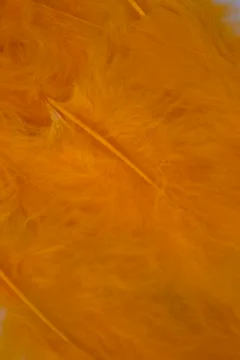 Orange craft feathers background Stock Photos