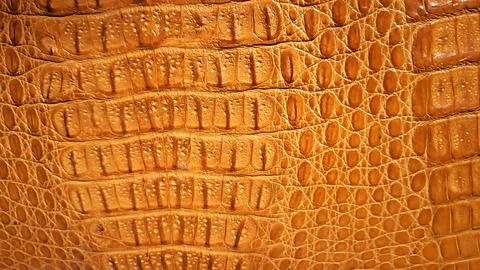 Orange Crocodile Leather Pattern Macro Texture. Fotos Stock