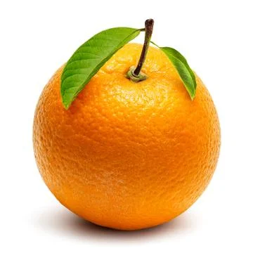 Orange crop isolated Stock Photos