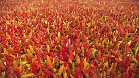 Orange Crystals, looping animation Stock Footage 88830196