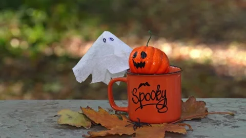 Orange cup with pumpkin and ghost on the background of nature Stock Footage 169793398