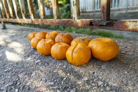 Orange damaged Stock Photos