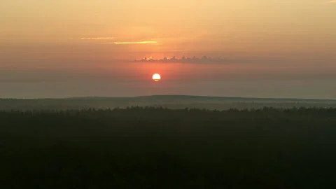 Orange dawn over the forest Stock Footage 171729020