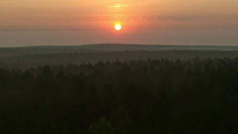 Orange dawn over the forest Stock Footage 174725140