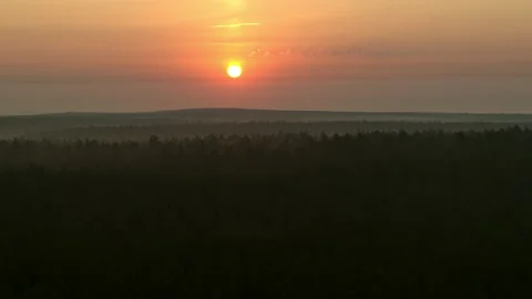 Orange dawn over the forest Video stock 174753108