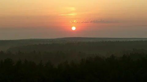 Orange dawn over the forest Stock Footage 178049693