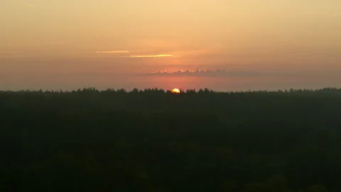 Orange dawn over the forest Video stock 194384457