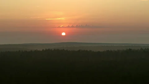 Orange dawn over the forest Stock Footage 194384491