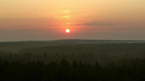 Orange dawn over the forest Video stock 194384924