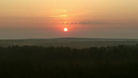Orange dawn over the forest Stock Footage 194384965