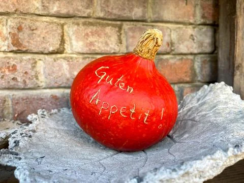 Orange decorative pumpkin Stock Photos
