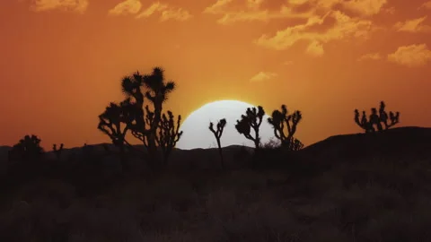 Orange Desert Sunset Beautiful Landscape Joshua Tree National Park Nature Stock Footage 335706435