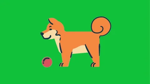 Orange dog playing flat animation on green screen background Stock Footage 293955773