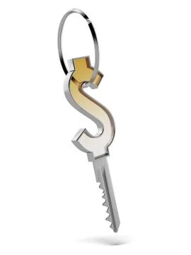Orange dollar key 库存插图