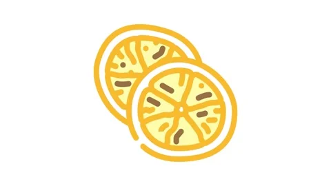 Orange dried fruit color icon animation Stock Footage 327270254