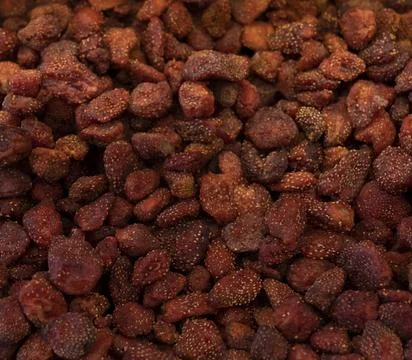 Orange dried strawberry Stock Photos