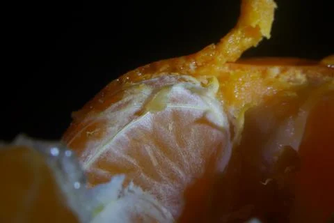 Orange dude in dim light Stock Photos