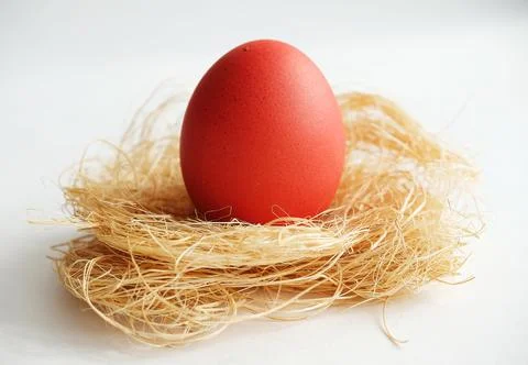 Orange Easter dyed egg on coconut fiber on a white background close up Foto stock