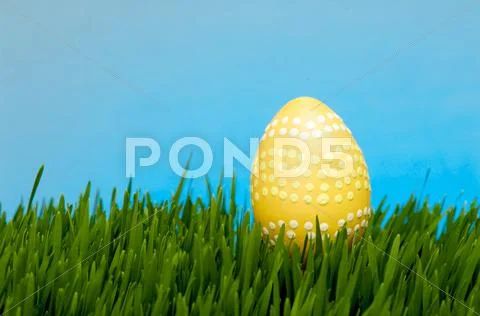 Orange easter egg Stock Photos