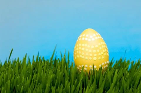 Orange easter egg Stock Photos