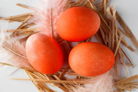 Orange easter eggs and feathers on a white background. Stock Photos