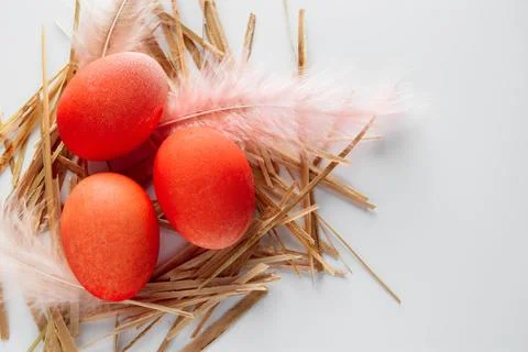 Orange easter eggs and feathers in a nest on a white background. Stock Photos