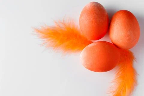 Orange easter eggs and feathers on a white background. Stock-Fotos