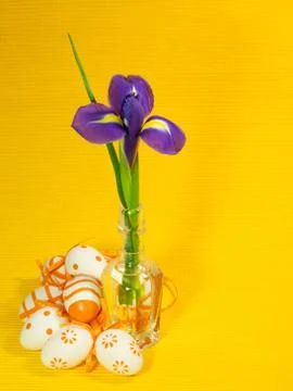 Orange easter eggs and iris Stock Photos