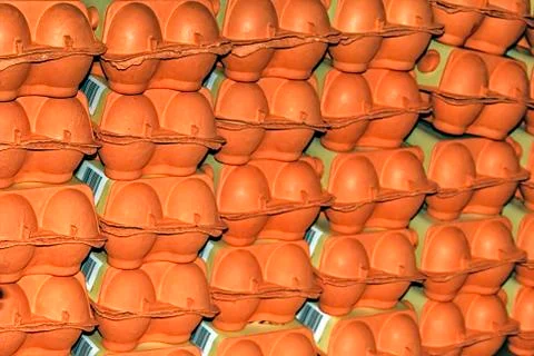 Orange egg packaging Stock Photos