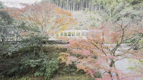 Orange Eizan Train Crossing a Maple-Framed Bridge in Kyoto Stockbeeldmateriaal 348617867