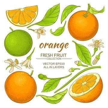 Orange elements set Stock Illustration
