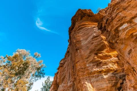 Orange eroding sandstone cliffs and gum trees in Australia Foto stock