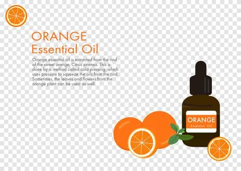Orange essential oil, herb vector isolated on transparency background ep01 Stock Illustration