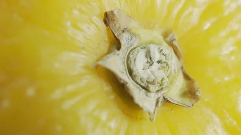 Orange in extreme close up stock footage Stock Footage
